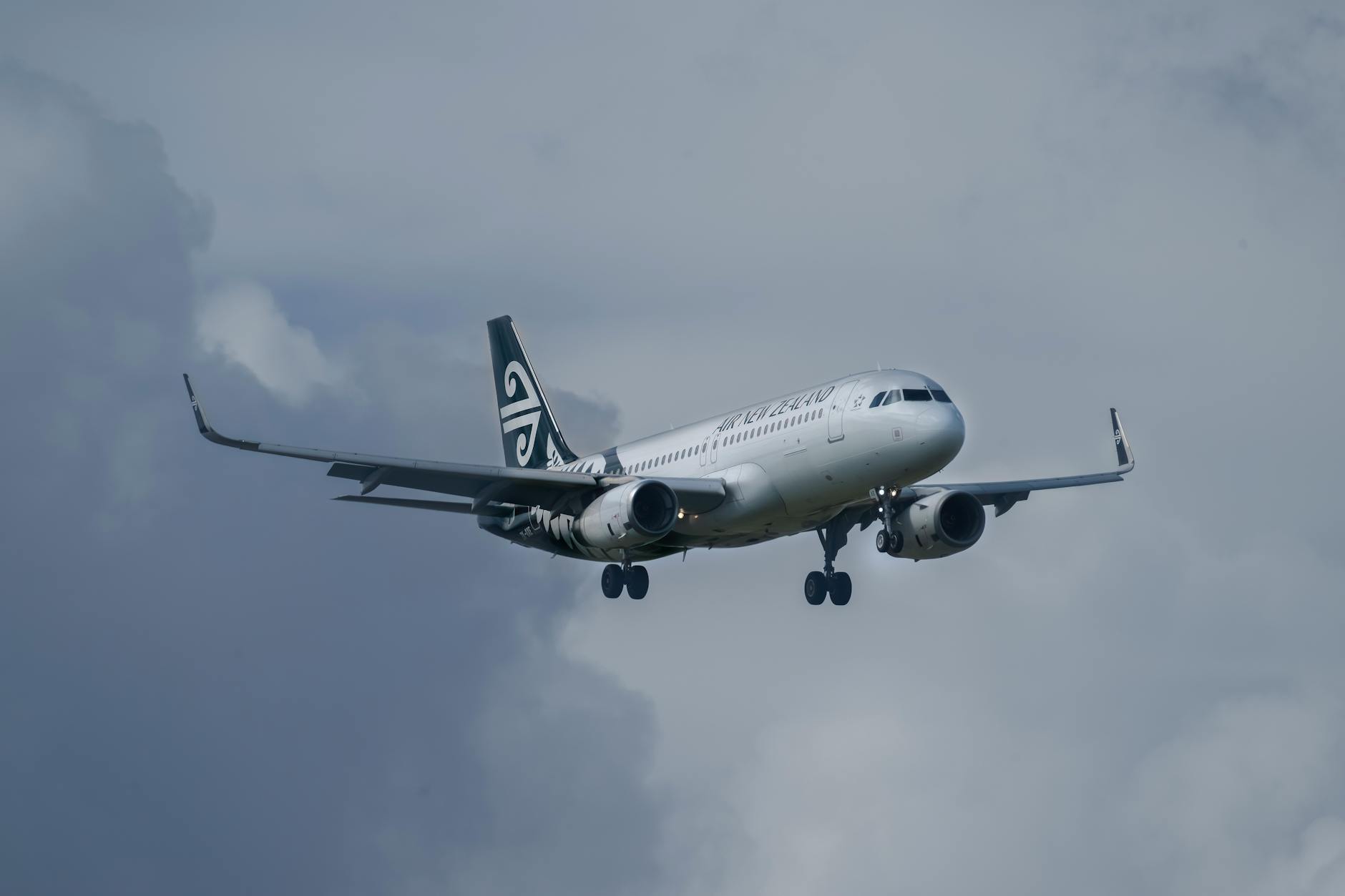 remote work new zealand 2026: top high-paying jobs and side hustles you can do f