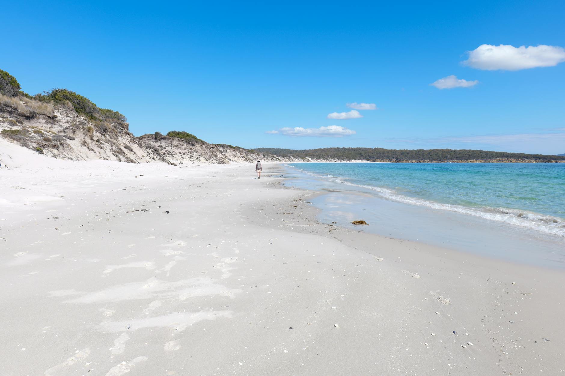 temu australia: is dropshipping dead in 2025?