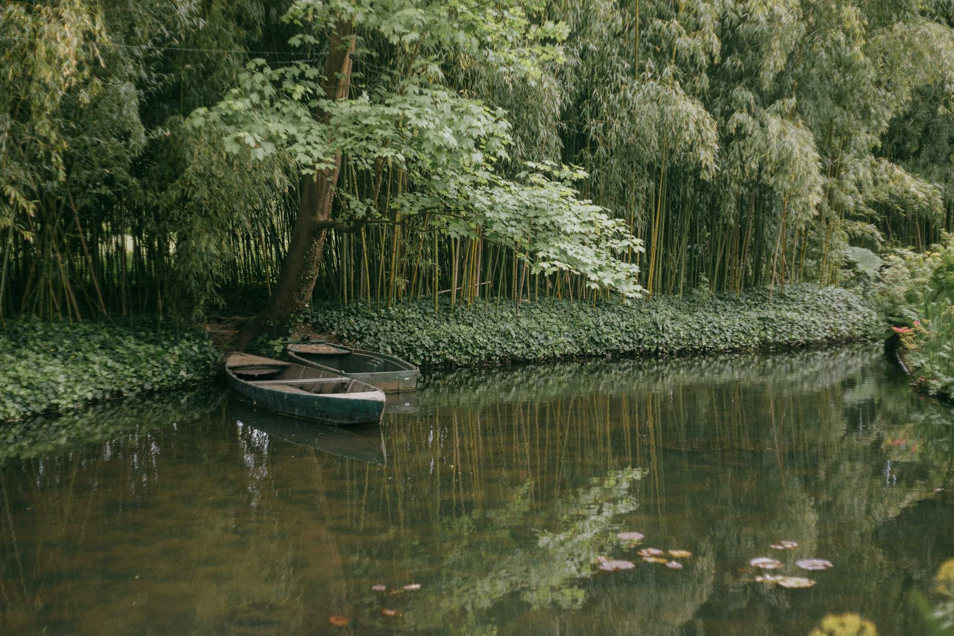 Serene view of small boats on a quiet pond surrounded by lush greenery in Giverny, France.